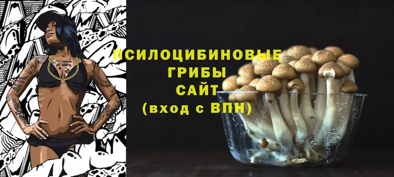 Галлюциногенные грибы Magic Shrooms Бакал